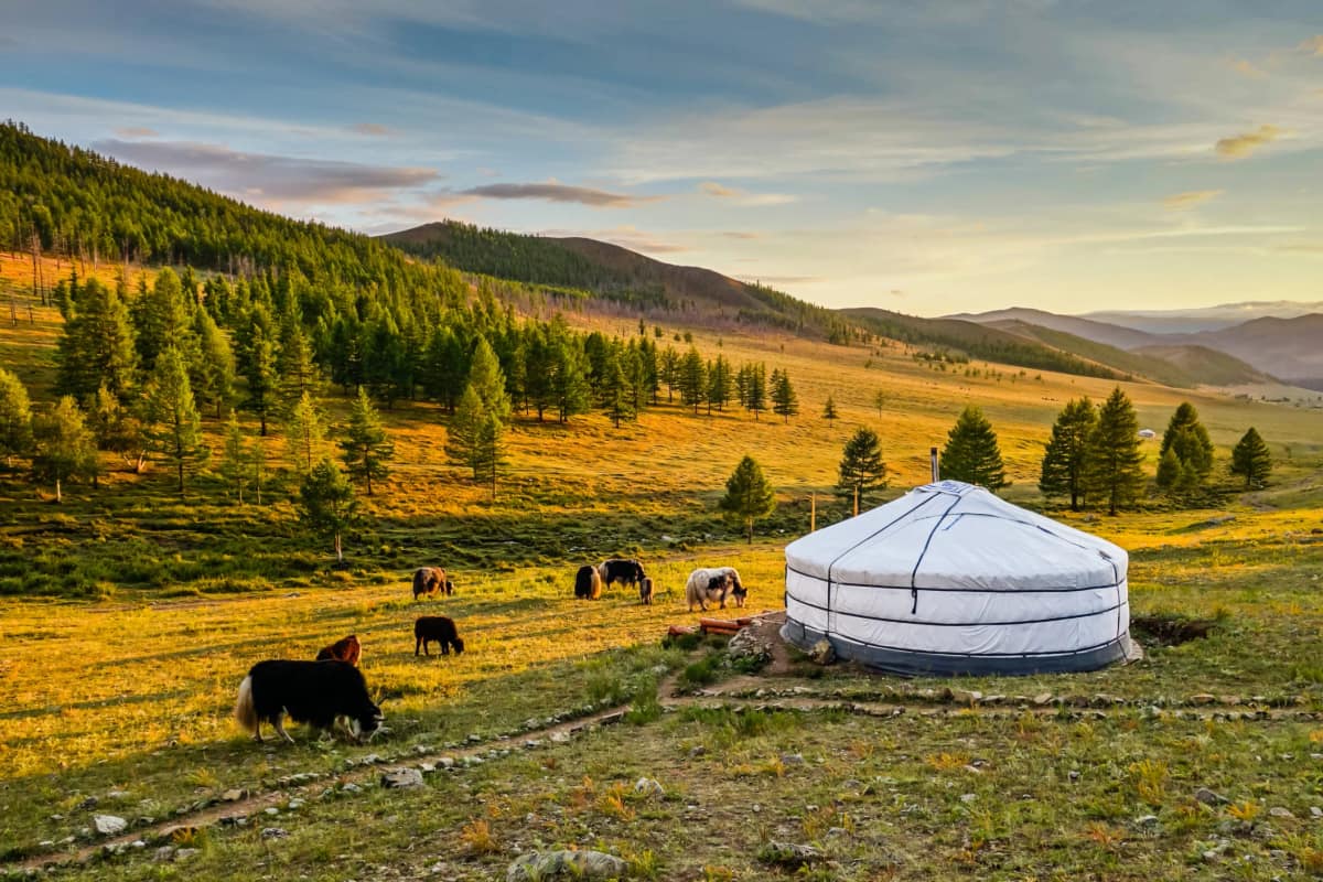 Mongolia travel with eSIM connectivity