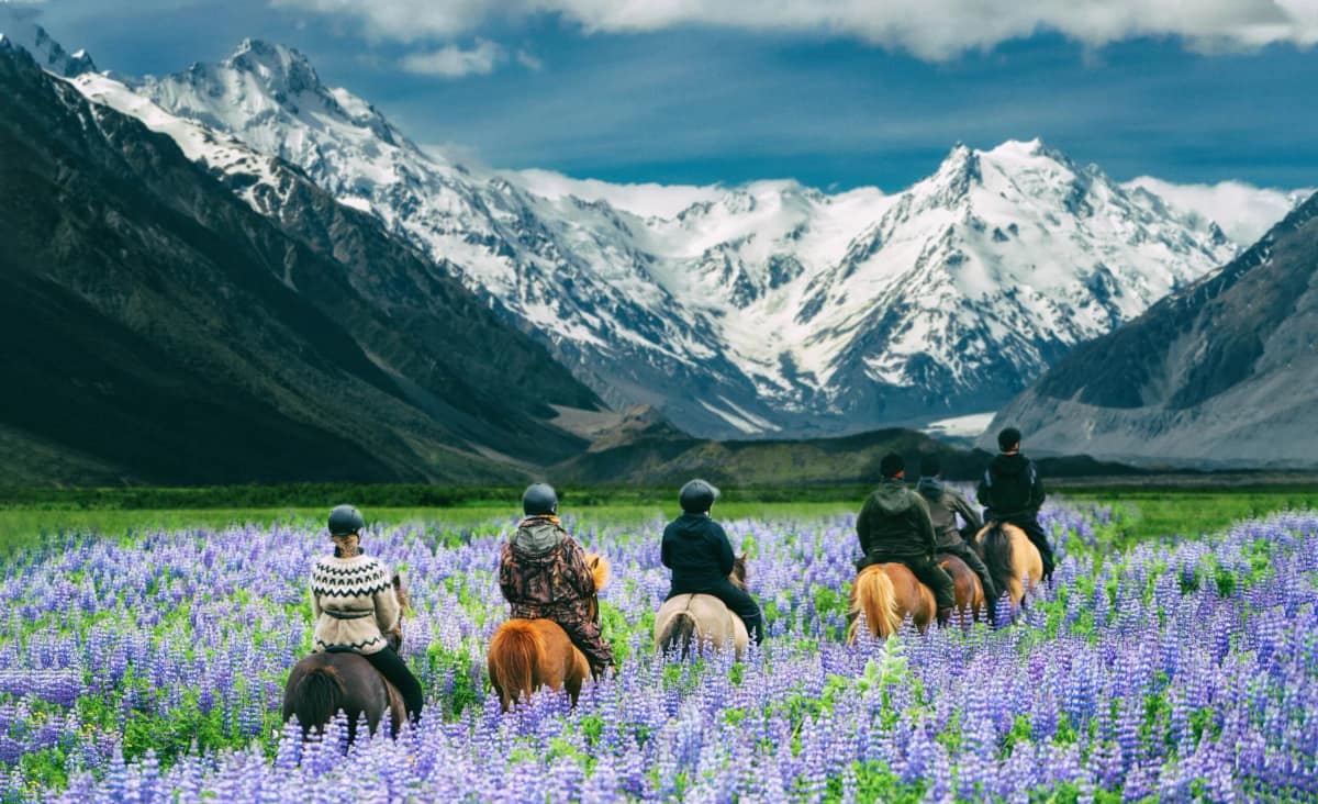 New Zealand travel with eSIM connectivity