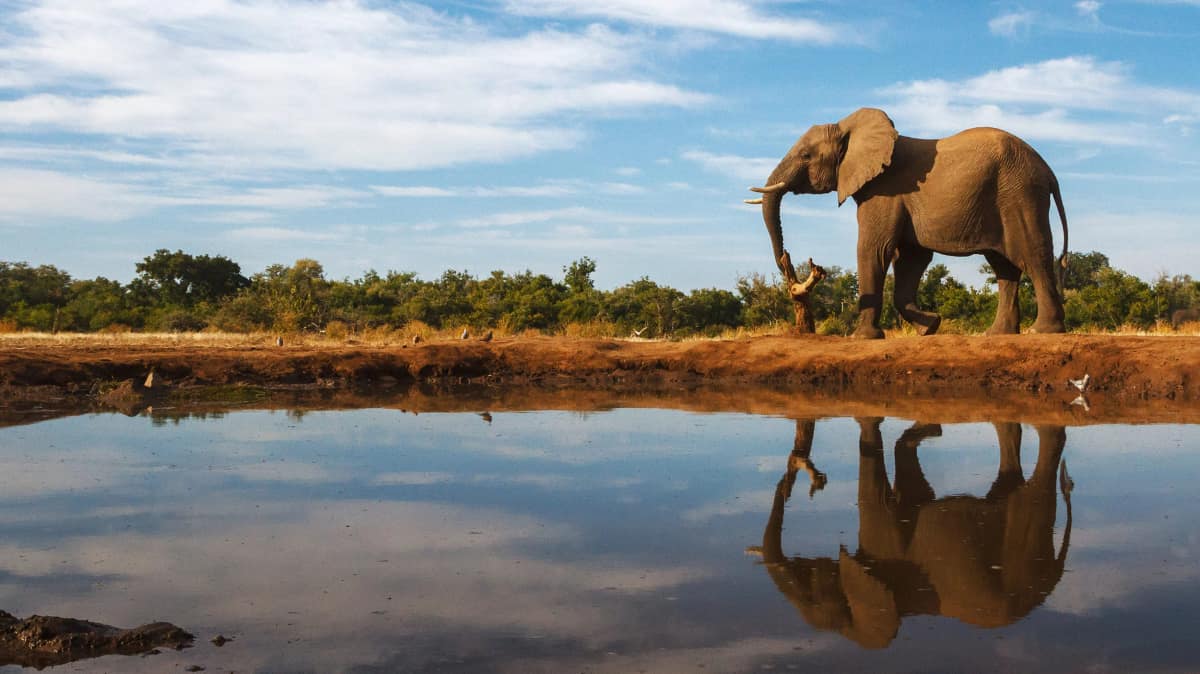 Botswana travel with eSIM connectivity