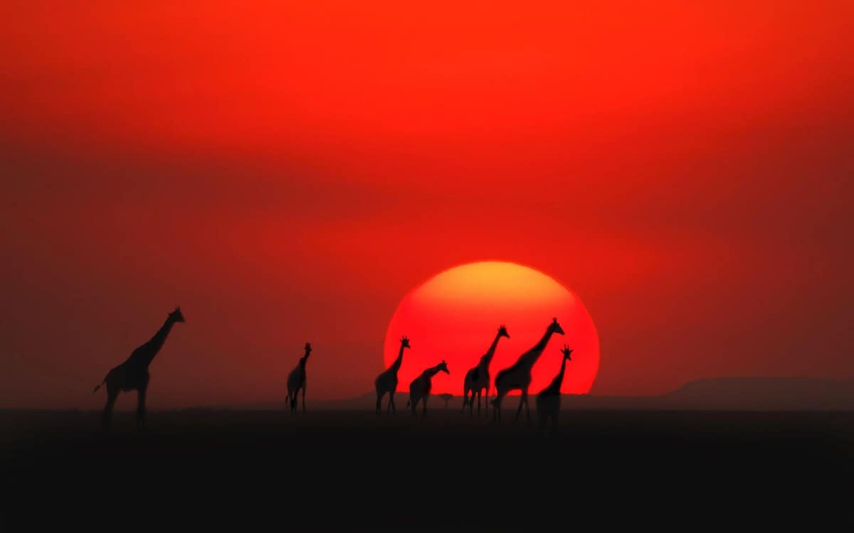 Kenya travel scenery