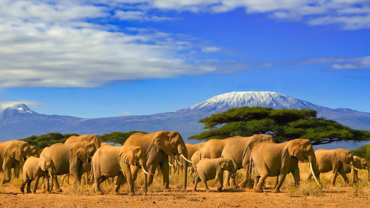 Tanzania travel with eSIM connectivity